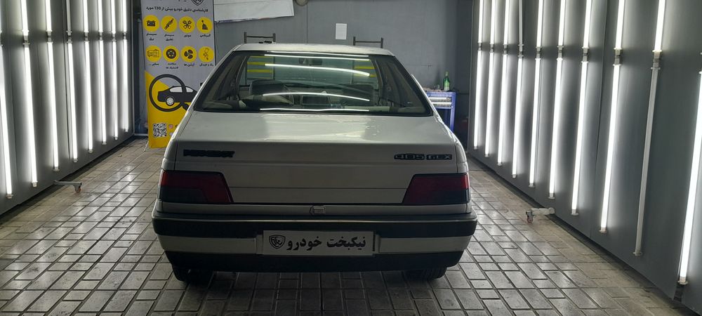 پژو-405-1391