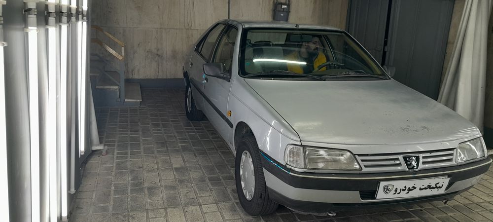 پژو-405-1391