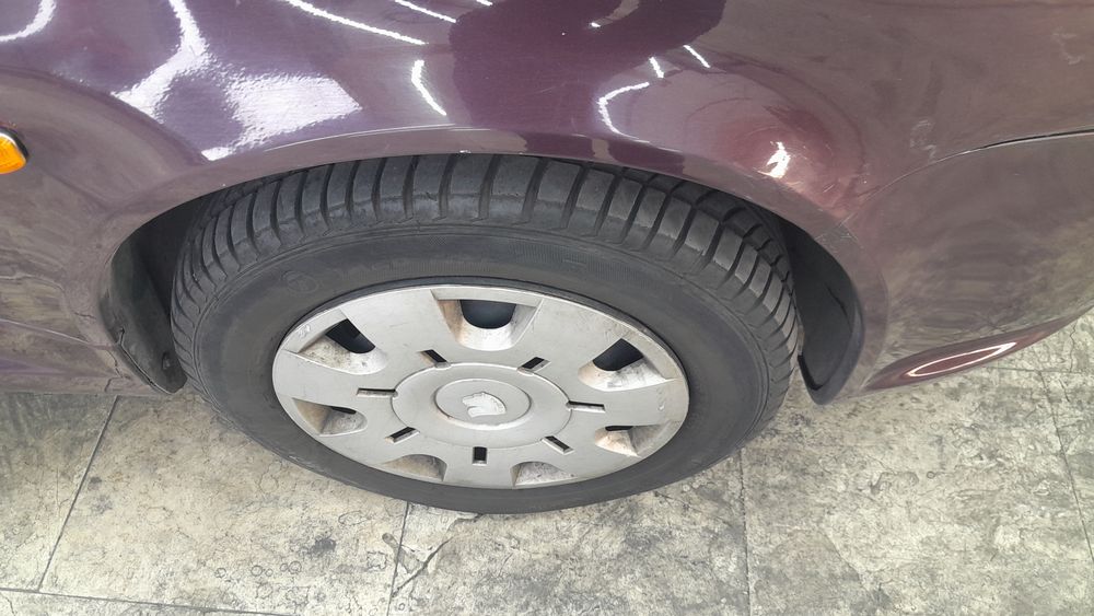 رانا-معمولی-1393