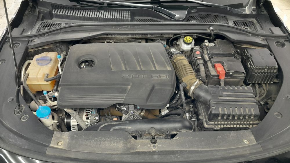 فونیکس-آریزو 8-1403