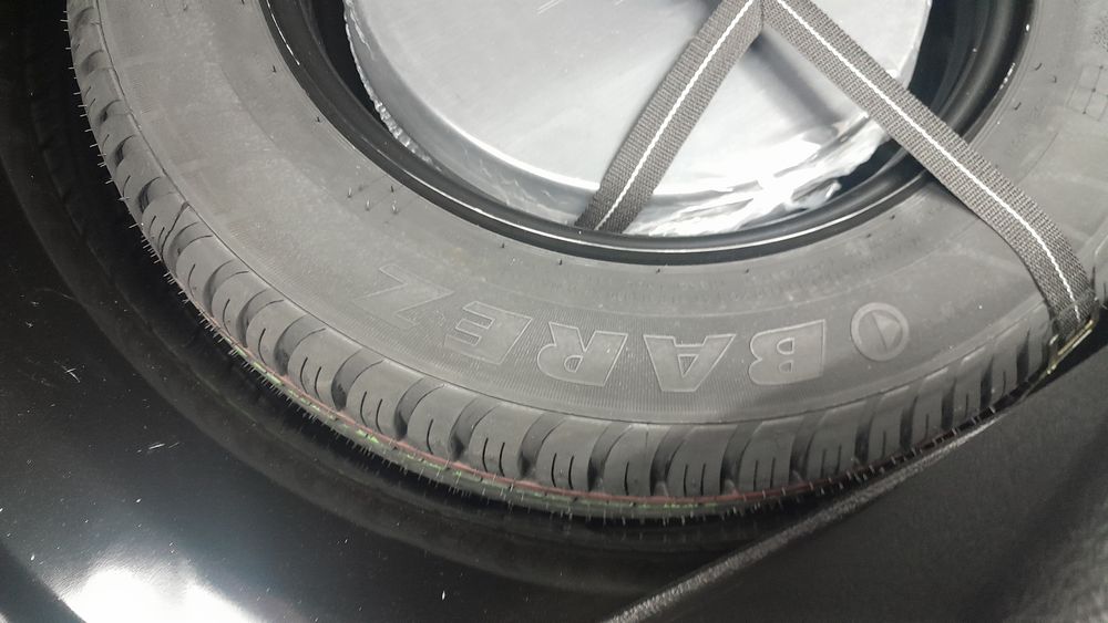 دنا-پلاس-1404