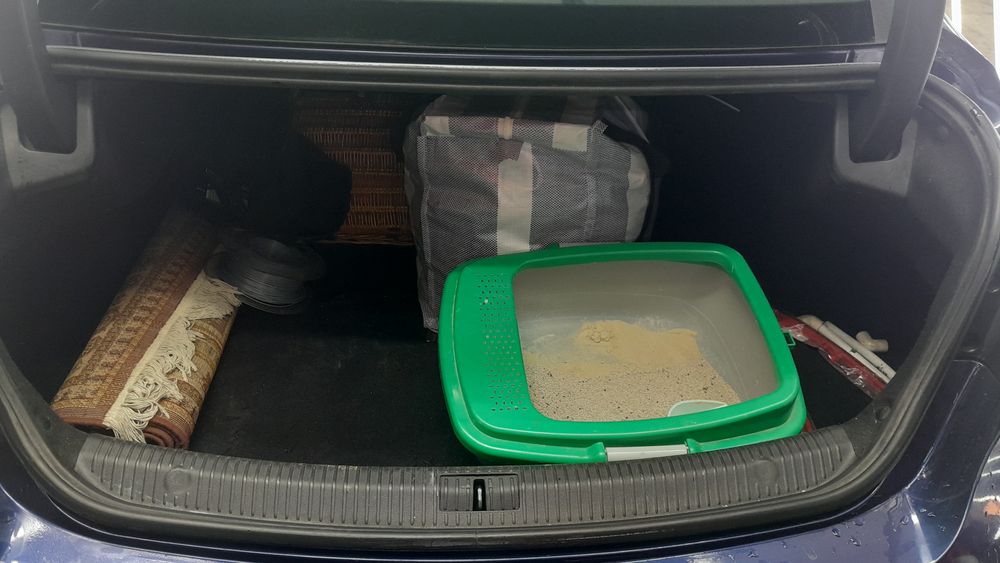 رنو-تلیسمان-2017