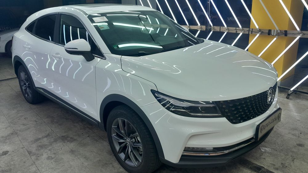 دانگ فنگ-دیگنیتی-1404