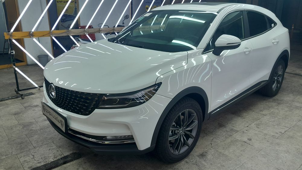 دانگ فنگ-دیگنیتی-1404