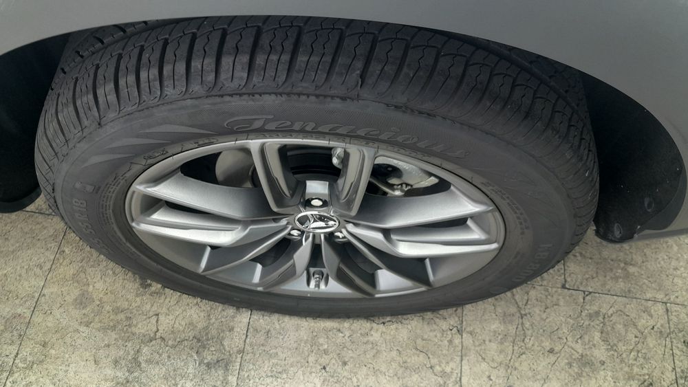 دانگ فنگ-دیگنیتی-1404