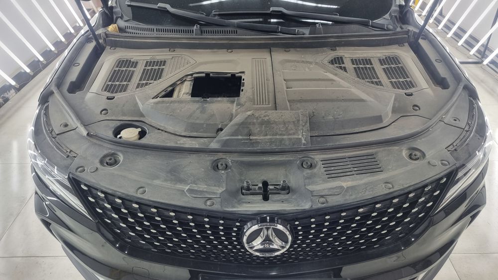 دانگ فنگ-دیگنیتی-1401