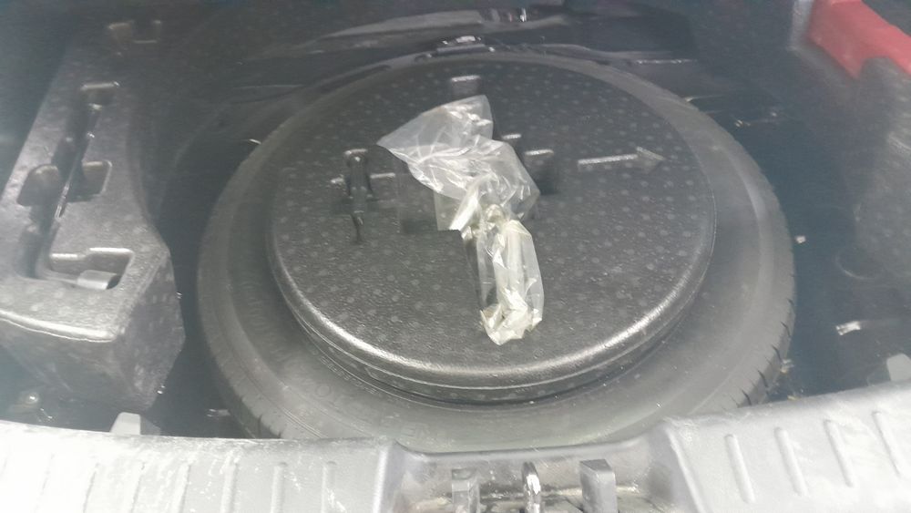 دانگ فنگ-دیگنیتی-1401