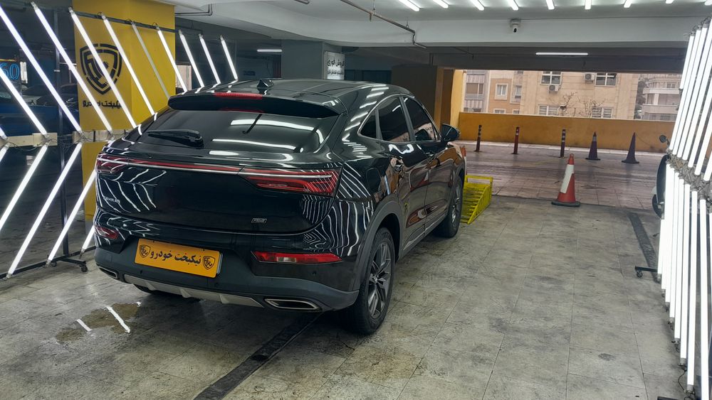 دانگ فنگ-دیگنیتی-1401