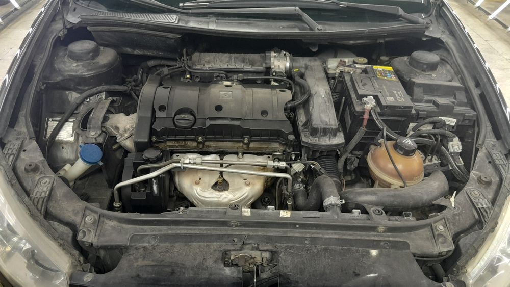 رانا-معمولی-1395