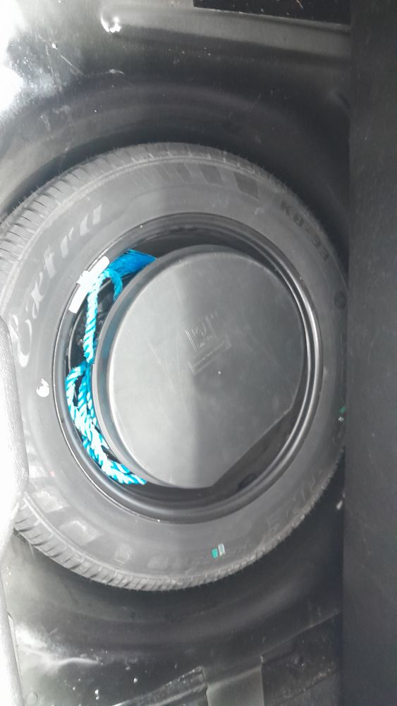 دنا-پلاس-1401