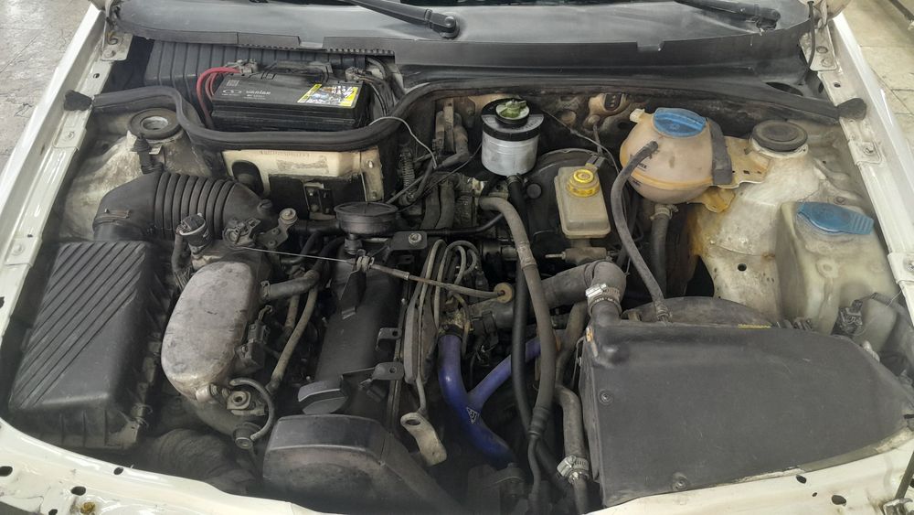 فولکس واگن-گل-1389